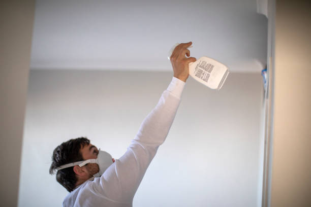 Best Home Mold Removal  in Pittsfield, IL