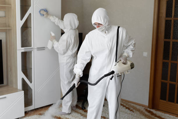 Best Mold Cleaning Services  in Pittsfield, IL